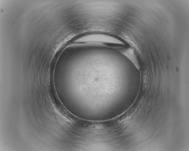 X0000088900492200706291508