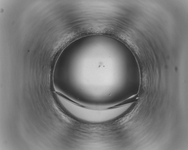 X0000088900493200706291508