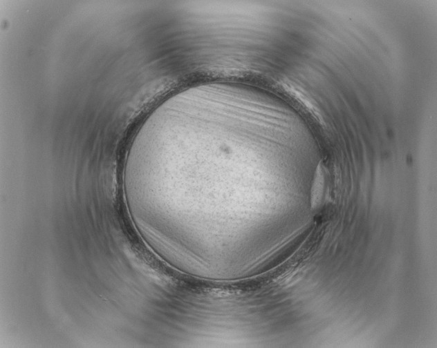 X0000088900494200706291508