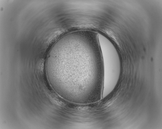 X0000088900495200706291508