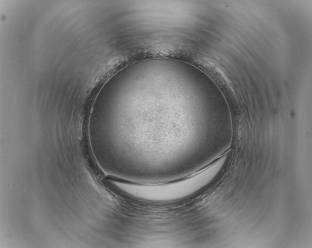 X0000088900496200706291508