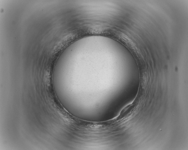 X0000088900497200706291508