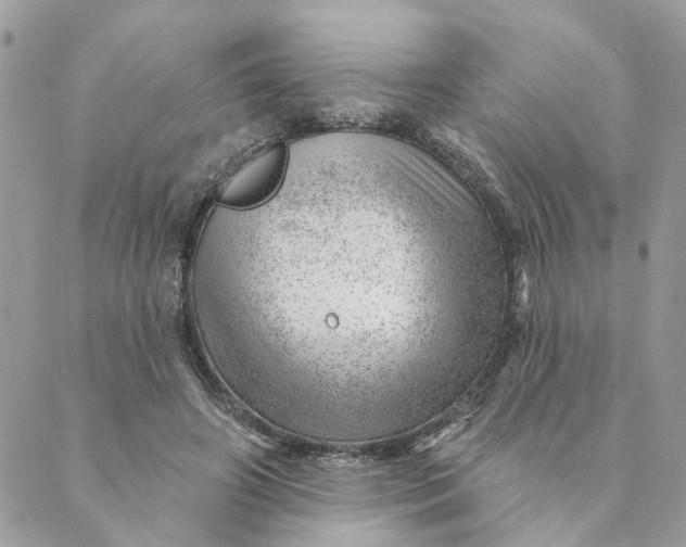 X0000088900498200706291508