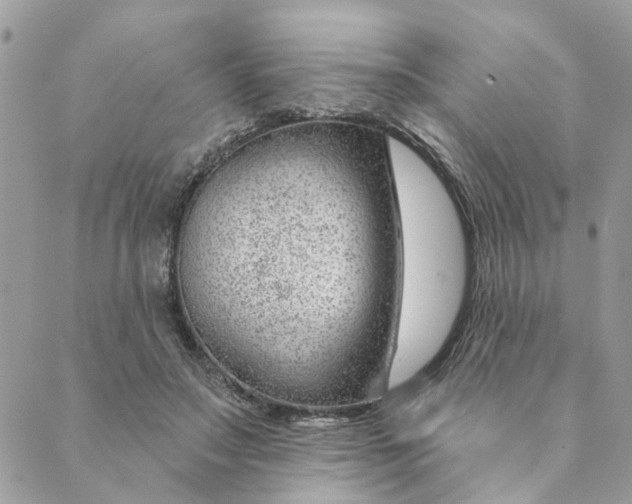 X0000088900499200706291508