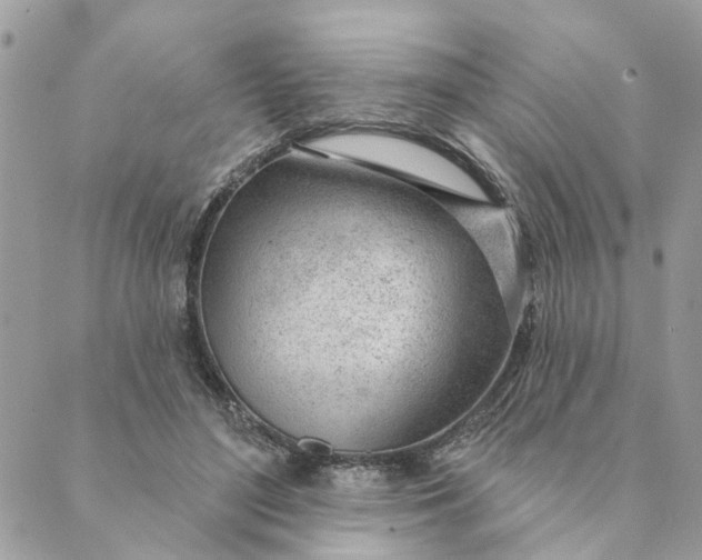 X0000088900500200706291508