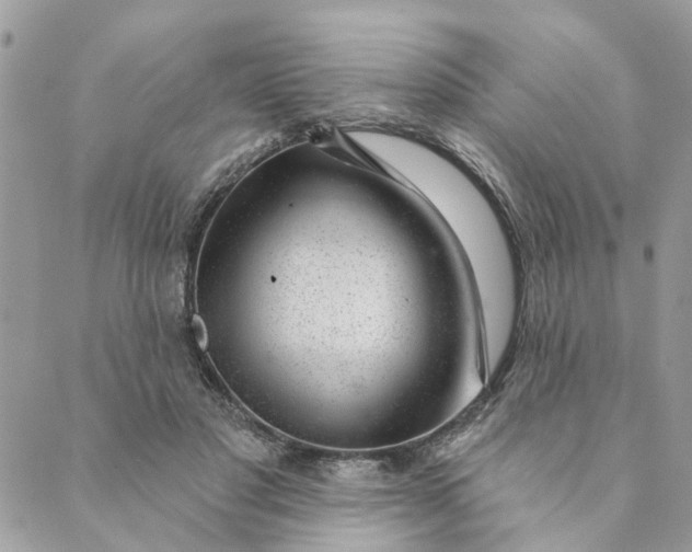 X0000088900501200706291508