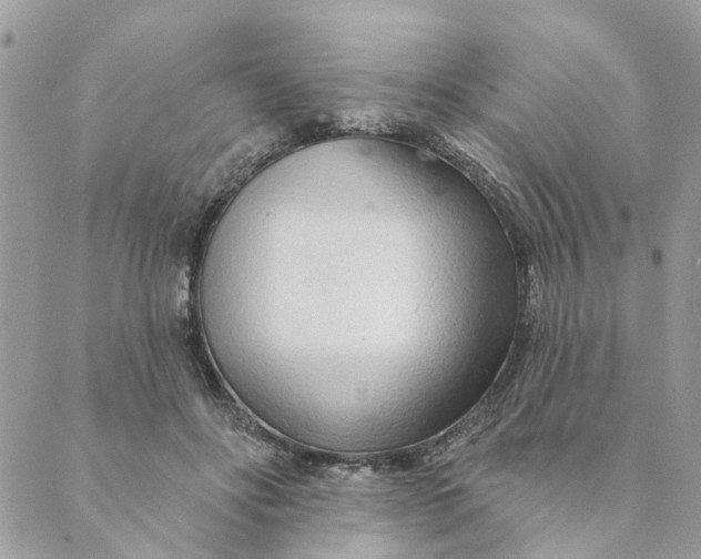 X0000088900502200706291508