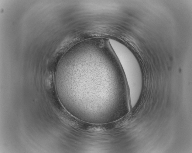 X0000088900503200706291508