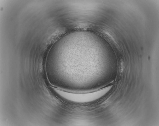 X0000088900504200706291508