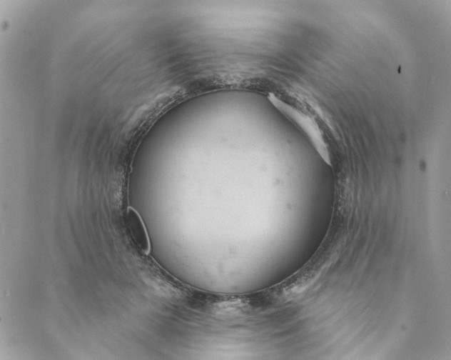 X0000088900505200706291508