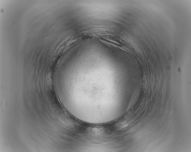 X0000088900506200706291508