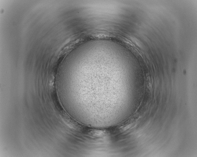 X0000088900507200706291508