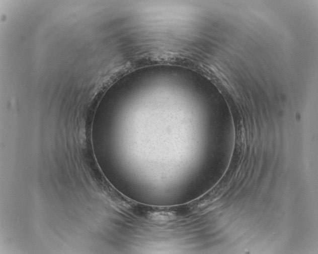 X0000088900508200706291508