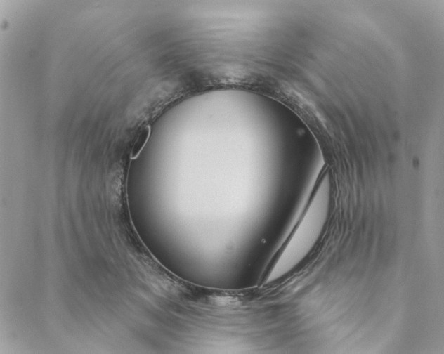 X0000088900509200706291508