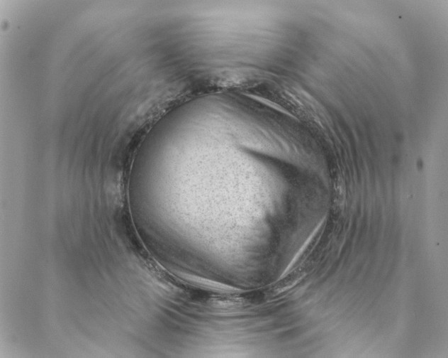 X0000088900510200706291508