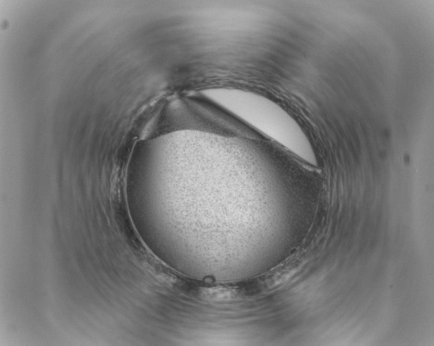 X0000088900511200706291508