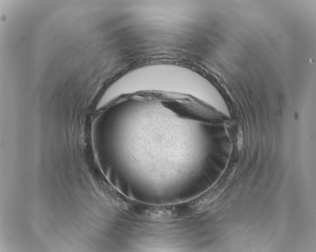 X0000088900512200706291508