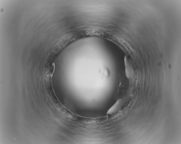 X0000088900513200706291508