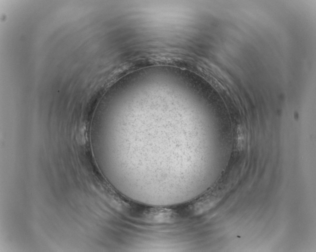 X0000088900514200706291508