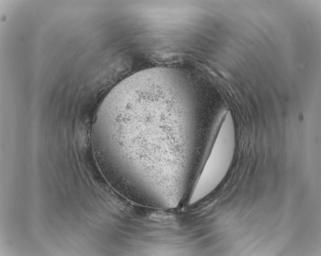 X0000088900515200706291508