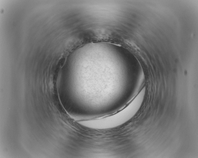 X0000088900516200706291508