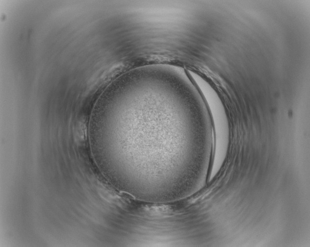 X0000088900517200706291508