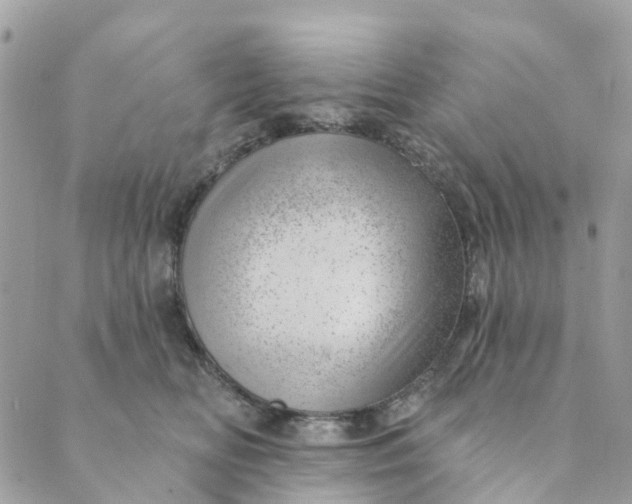 X0000088900518200706291508