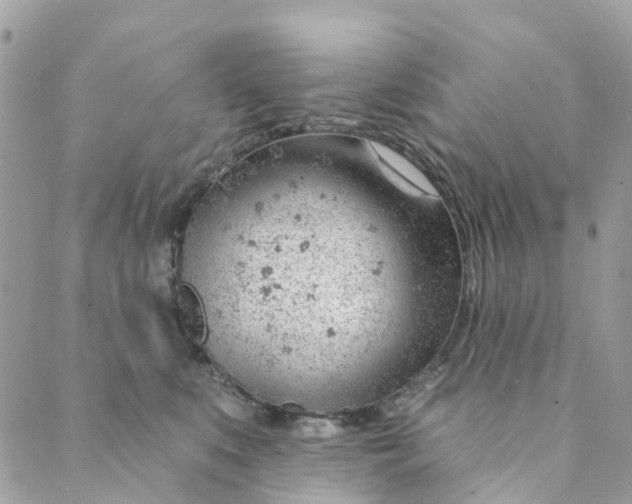 X0000088900519200706291508