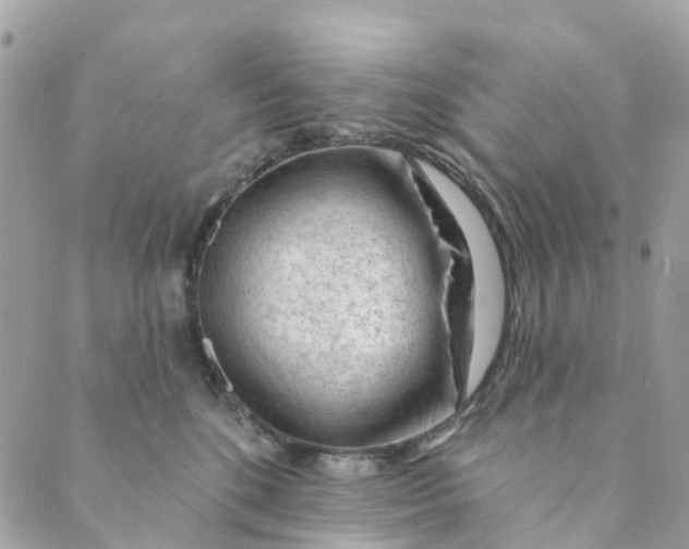 X0000088900520200706291508