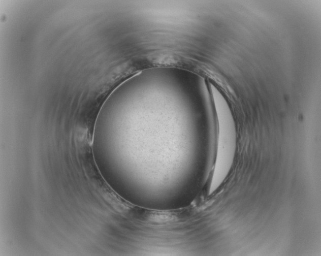 X0000088900521200706291508