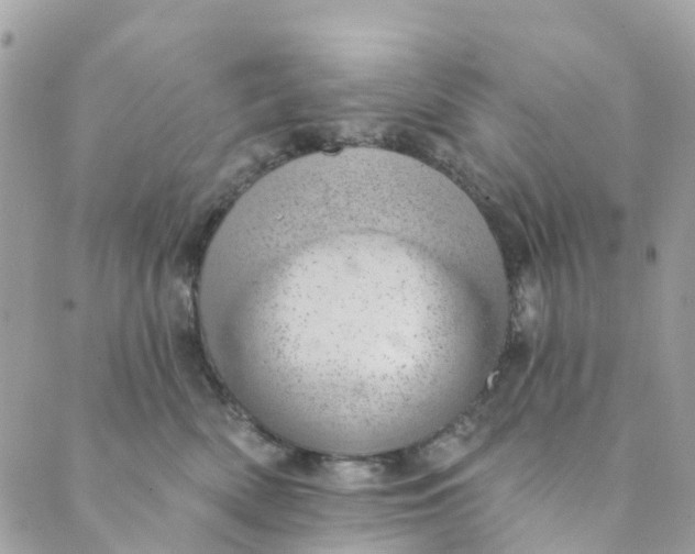 X0000088900522200706291508