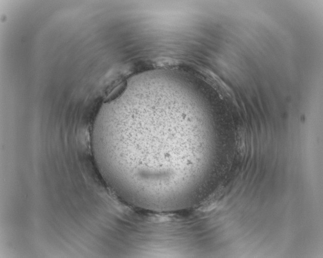 X0000088900523200706291508