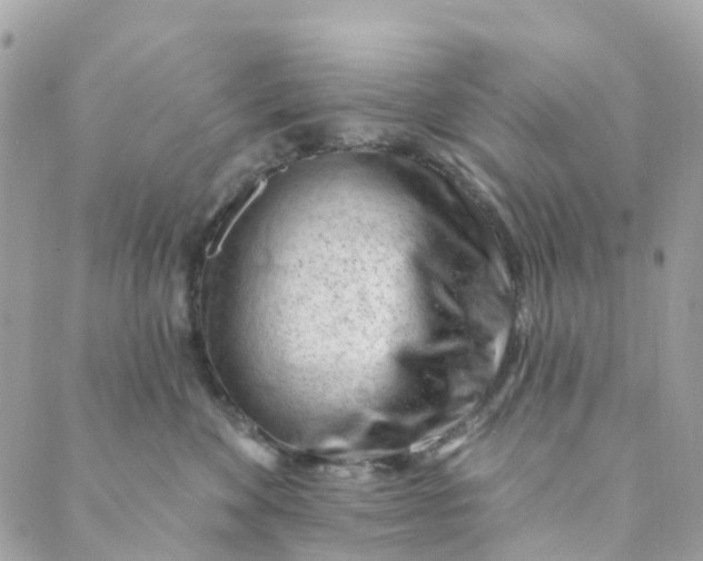 X0000088900524200706291508