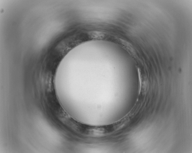 X0000088900525200706291508