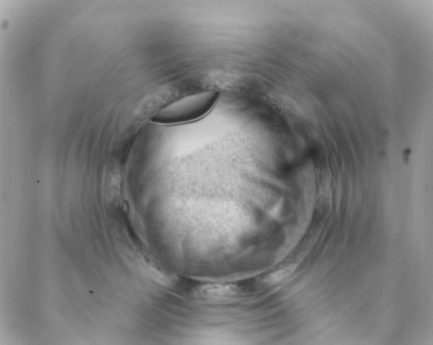 X0000088900526200706291508