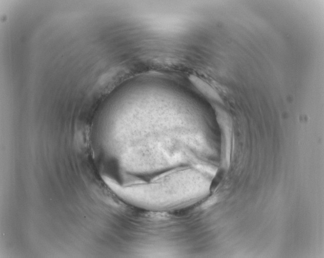 X0000088900528200706291507