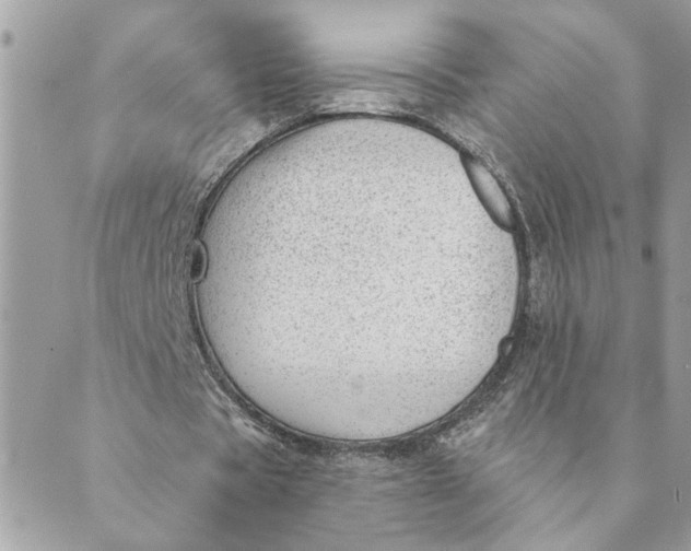 X0000088900529200706291507