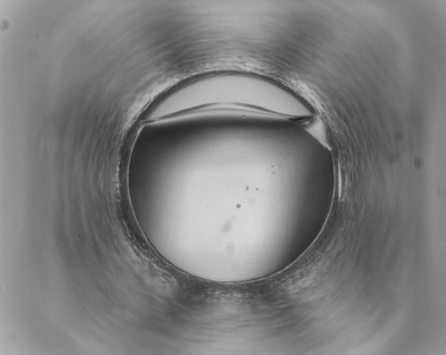 X0000088900531200706291507