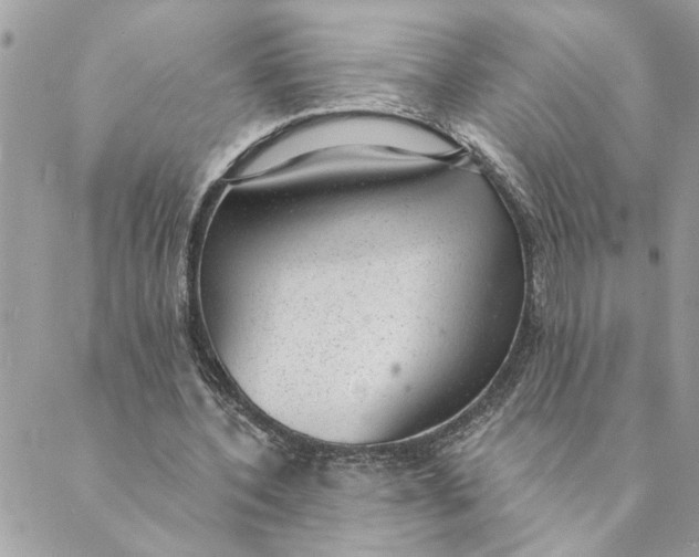 X0000088900532200706291507