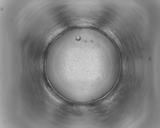 X0000088900533200706291507