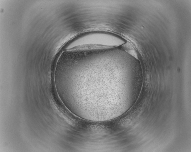 X0000088900535200706291507