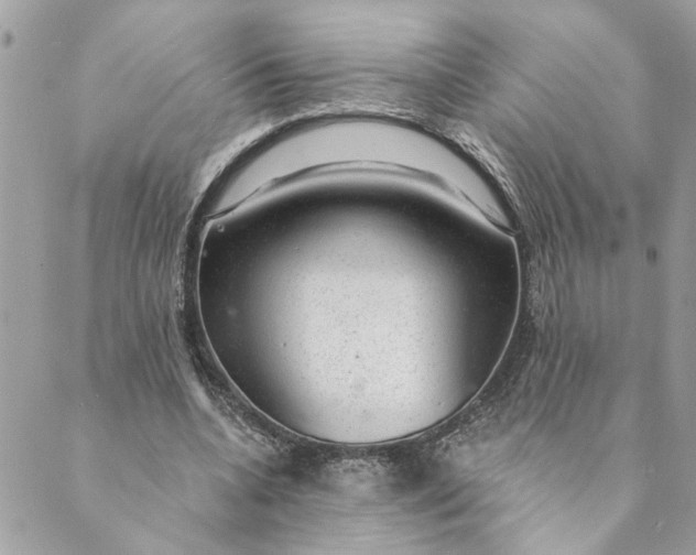 X0000088900536200706291507