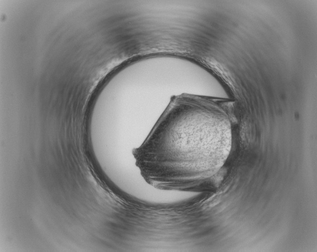 X0000088900540200706291507