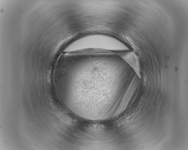 X0000088900543200706291507