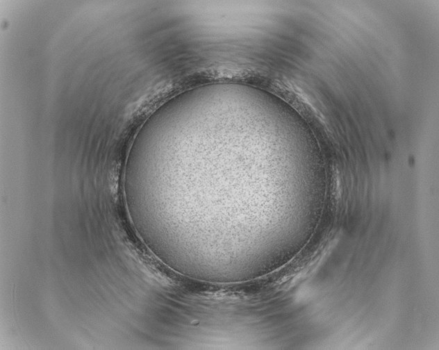 X0000088900545200706291507