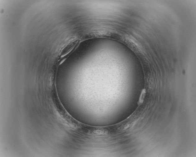 X0000088900546200706291507