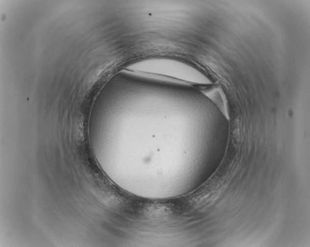 X0000088900547200706291507