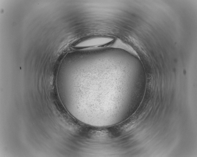 X0000088900548200706291507