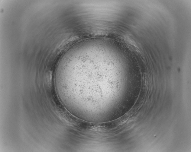 X0000088900550200706291507