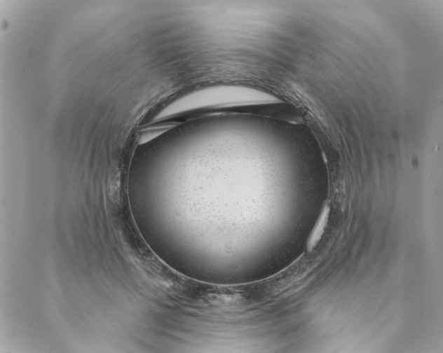 X0000088900552200706291507